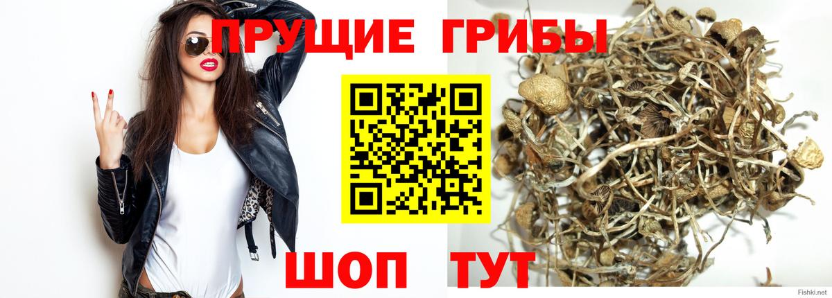 Наро-Фоминск  Галлюциногенные грибы Psilocybine cubensis  Вход с VPN  Галлюциногенные грибы прущие грибы 